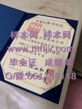 《波恩大学毕业证书解析：全球认可的教育成就见证》