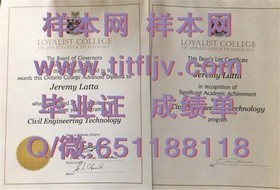 《荷兰伊拉斯姆斯大学证书揭秘：全球认可的学术荣耀与就业优势》
