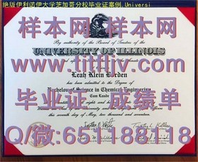 《波恩大学学历认证全解析：获取真实毕业证的必备攻略》