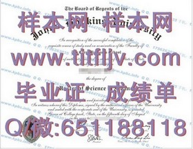 《滋贺大学官方认证毕业证揭秘：学位含金量与就业前景分析》