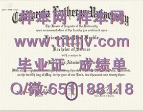 《荷兰伊拉斯姆斯大学认证学位：解锁国际认可的教育成就》