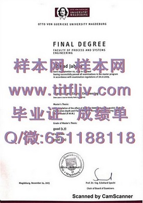 《波恩大学学历认证攻略：揭秘如何获取含金量高的波恩大学毕业证》