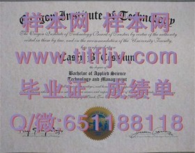 《荷兰伊拉斯姆斯大学：揭秘真实毕业证书背后的全球认可与价值》