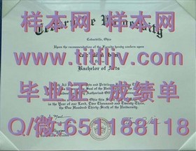 《波恩大学毕业证背后的故事：揭秘国际认可的高学历证书之谜》