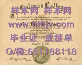 《荷兰伊拉斯姆斯大学官方毕业证详解：学位认证与职场竞争力提升》