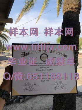 《乔治亚大学毕业证背后的价值与认证攻略：揭秘真实留学优势》