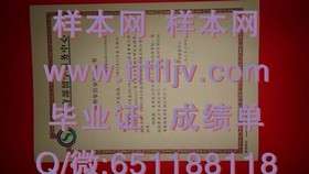 《荷兰伊拉斯姆斯大学证书解析：国际认可背后的含金量揭秘》