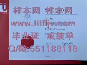 《西北密歇根学院毕业证详解：获取过程、认证与价值解析》