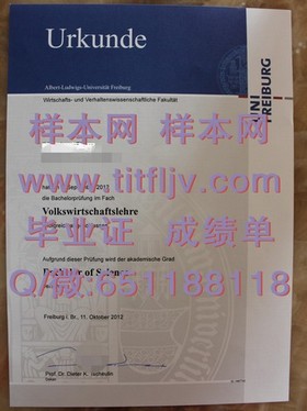 《波恩大学文凭揭秘：如何获得这份国际认可的学位证书？》