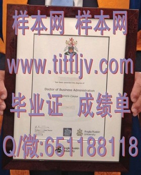 《荷兰伊拉斯姆斯大学：全球认可的学位，成就您的留学梦想》