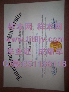 《西北密歇根学院毕业证揭秘：学位认证与求职优势全解析》