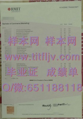 《荷兰伊拉斯姆斯大学证书详解：留学归来的国际精英凭证》