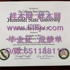 《荷兰伊拉斯姆斯大学官方认证毕业证书解析：留学价值与认证详情揭秘》