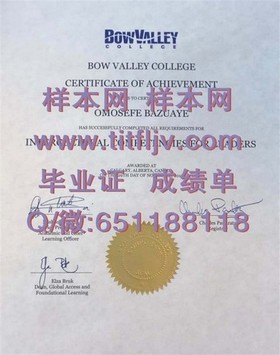 《波恩大学官方认证毕业证解析：留学归来者的学历凭证揭秘》