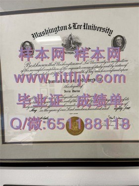 《荷兰伊拉斯姆斯大学毕业证书：国际认可的精英教育凭证，揭秘其含金量与全球认可度》