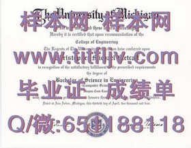 《荷兰伊拉斯姆斯大学学历认证：权威解析毕业证书含金量与全球认可度》