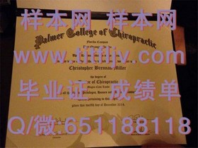 《波恩大学毕业证书：权威认证，开启国际职场大门的钥匙》