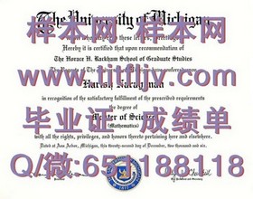《波恩大学学历认证：权威毕业证解析与申请攻略》