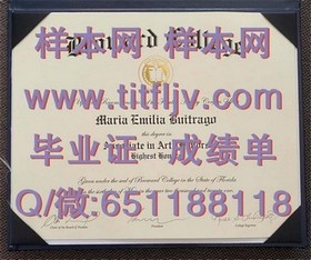《波恩大学毕业证背后的故事：揭秘德国精英学府的学术魅力与就业前景》