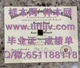 《波恩大学毕业证背后的价值：揭秘全球认可的教育精英通行证》