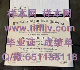 《荷兰伊拉斯姆斯大学官方毕业证书详解：学位认证与全球认可度揭秘》