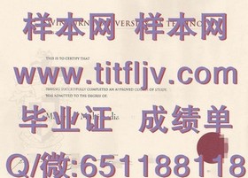 《荷兰伊拉斯姆斯大学认证毕业证：权威认证，开启国际职场新篇章》