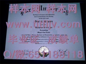 《波恩大学官方认证：揭秘真实毕业证样本与获取途径》