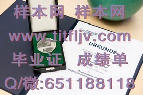 《荷兰伊拉斯姆斯大学文凭解读：权威认证背后的全球认可之路》