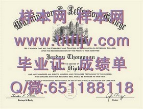 《荷兰伊拉斯姆斯大学：权威认证，国际认可的毕业证解析与优势》