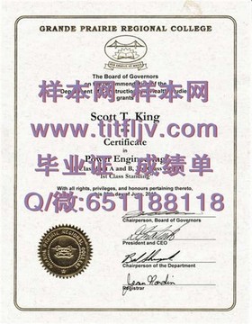 《荷兰伊拉斯姆斯大学证书揭秘：全球认可的教育品质，你的留学敲门砖》