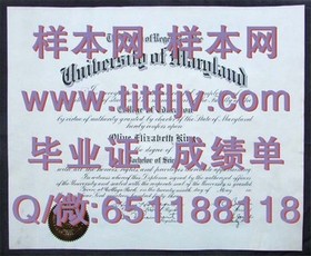 《波恩大学文凭解析：全球认可，留学德国的黄金钥匙》