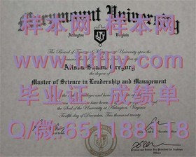 《波恩大学毕业证书：揭秘德国精英教育的全球认可与价值》