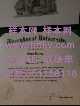 《波恩大学文凭解析：揭秘全球顶尖学府的学历含金量》