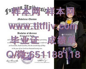 《荷兰伊拉斯姆斯大学文凭，揭秘国际认可的学历魅力与价值》