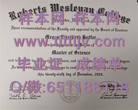 《波恩大学学历认证揭秘：如何获取权威的波恩大学毕业证书？》