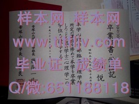 《荷兰伊拉斯姆斯大学文凭背后的全球认可与求职优势》