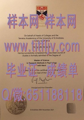 《荷兰伊拉斯姆斯大学证书解读：权威认证，国际认可的留学凭证》