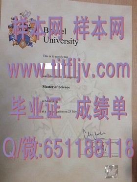 《荷兰伊拉斯姆斯大学文凭含金量揭秘：留学归来，这份证书助你职场飞跃》