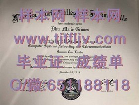 《揭秘滋贺大学真迹：获取毕业证书的完整攻略与价值解析》