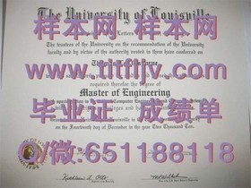 《荷兰伊拉斯姆斯大学学位证书解析：国际认可与求职优势全解析》