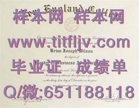 《荷兰伊拉斯姆斯大学学位证书详解：国际认可的学术荣耀之路》