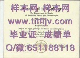 《荷兰伊拉斯姆斯大学文凭揭秘：权威认证，国际认可的学术通行证》