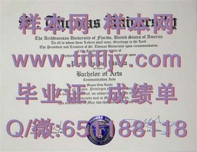 《西北密歇根学院毕业证揭秘：学位认证与就业前景深度解析》