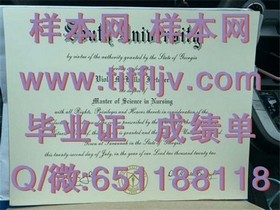 《荷兰伊拉斯姆斯大学学位证书解析：国际认可的精英教育凭证》
