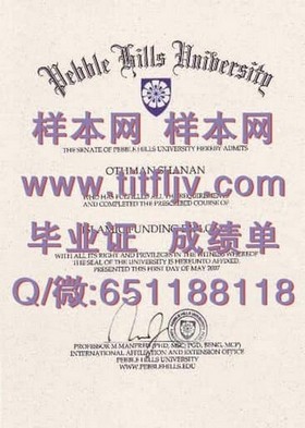 《波恩大学毕业证：详解真实学位证书的获取与价值解析》
