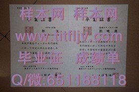 《荷兰伊拉斯姆斯大学官方认证：获取国际认可的毕业证书全攻略》