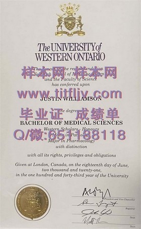 《荷兰伊拉斯姆斯大学证书背后的全球认可度解析：留学新宠儿的毕业证大揭秘》