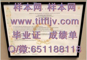 《波恩大学认证攻略：如何获取含金量高的毕业证书》