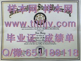 《波恩大学认证学位揭秘：如何获取全球认可的毕业证书》