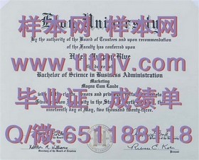 《波恩大学文凭解析：详解德国顶尖学府的毕业证书魅力》